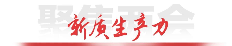 九五至尊VI-老品牌值得信任!